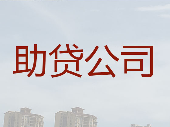 如皋抵押贷款公司-银行信用贷款